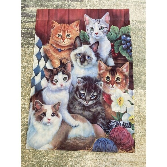 New Double Sided Kittens Garden Flag 12x16” - Picture 1 of 4